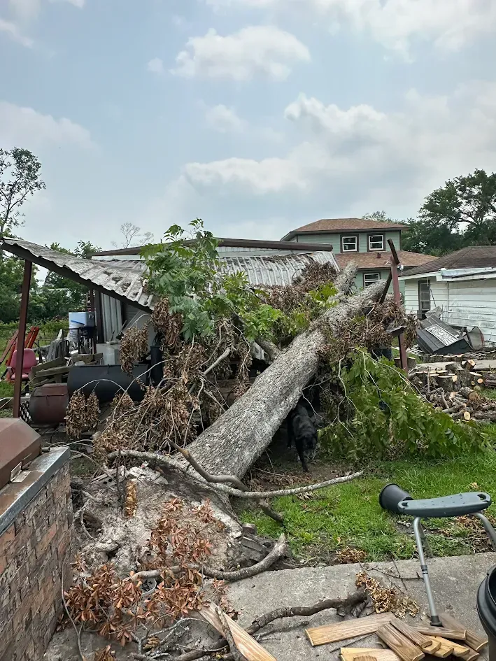 Uprooted tree and storm debris in front of damaged houses under a cloudy sky.