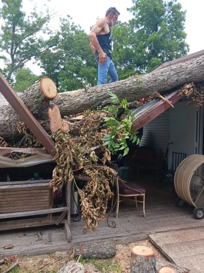 Man standing on a fallen tree trunk outside a shed, with cut branches and debris below