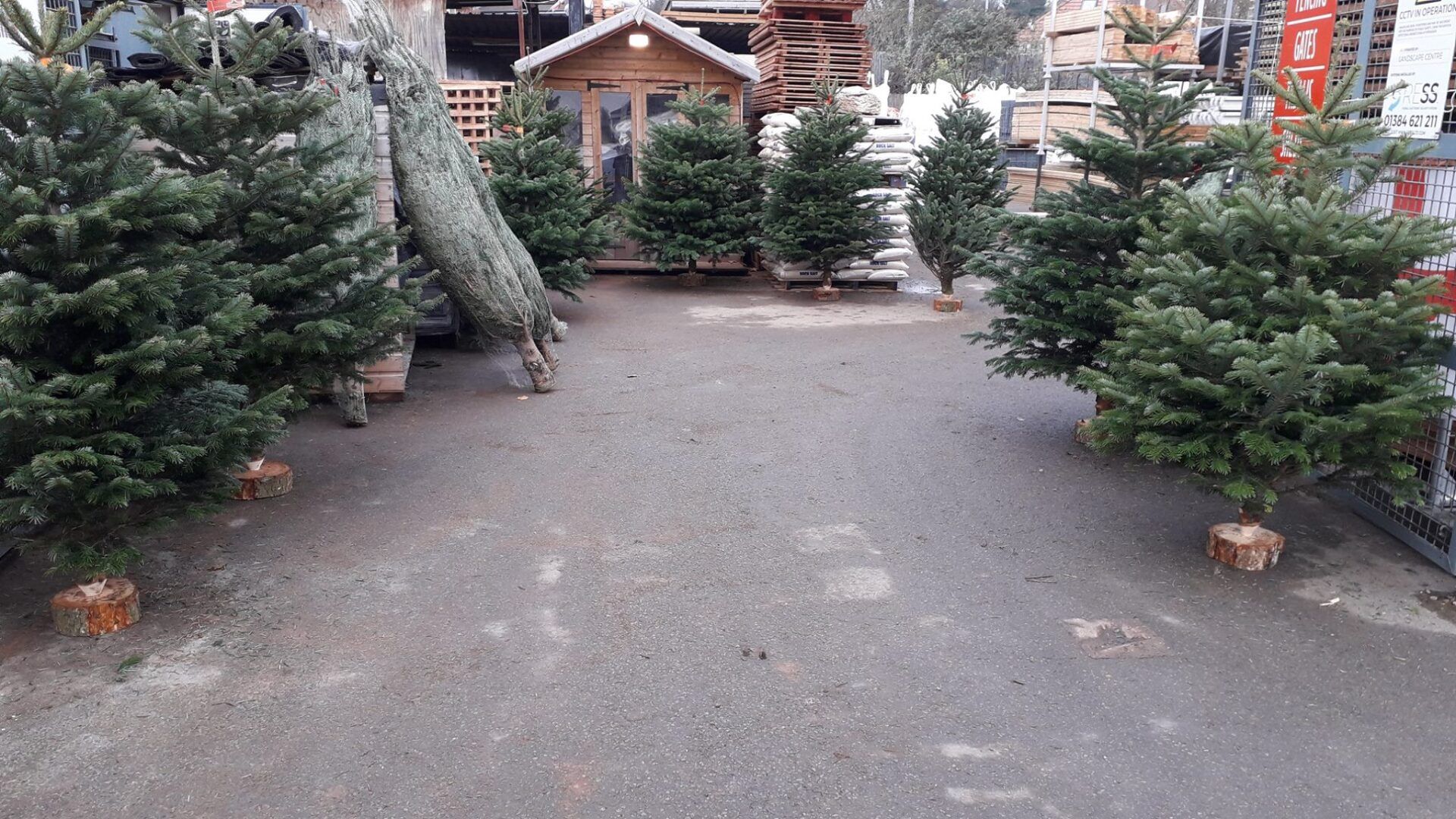 Christmas At The Landscape Centre 10