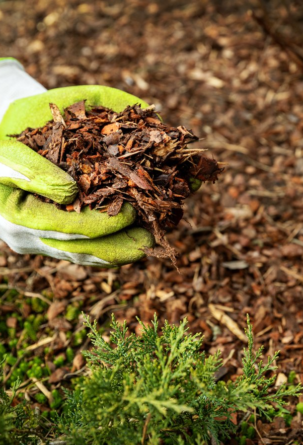 Turf Soil & Compost