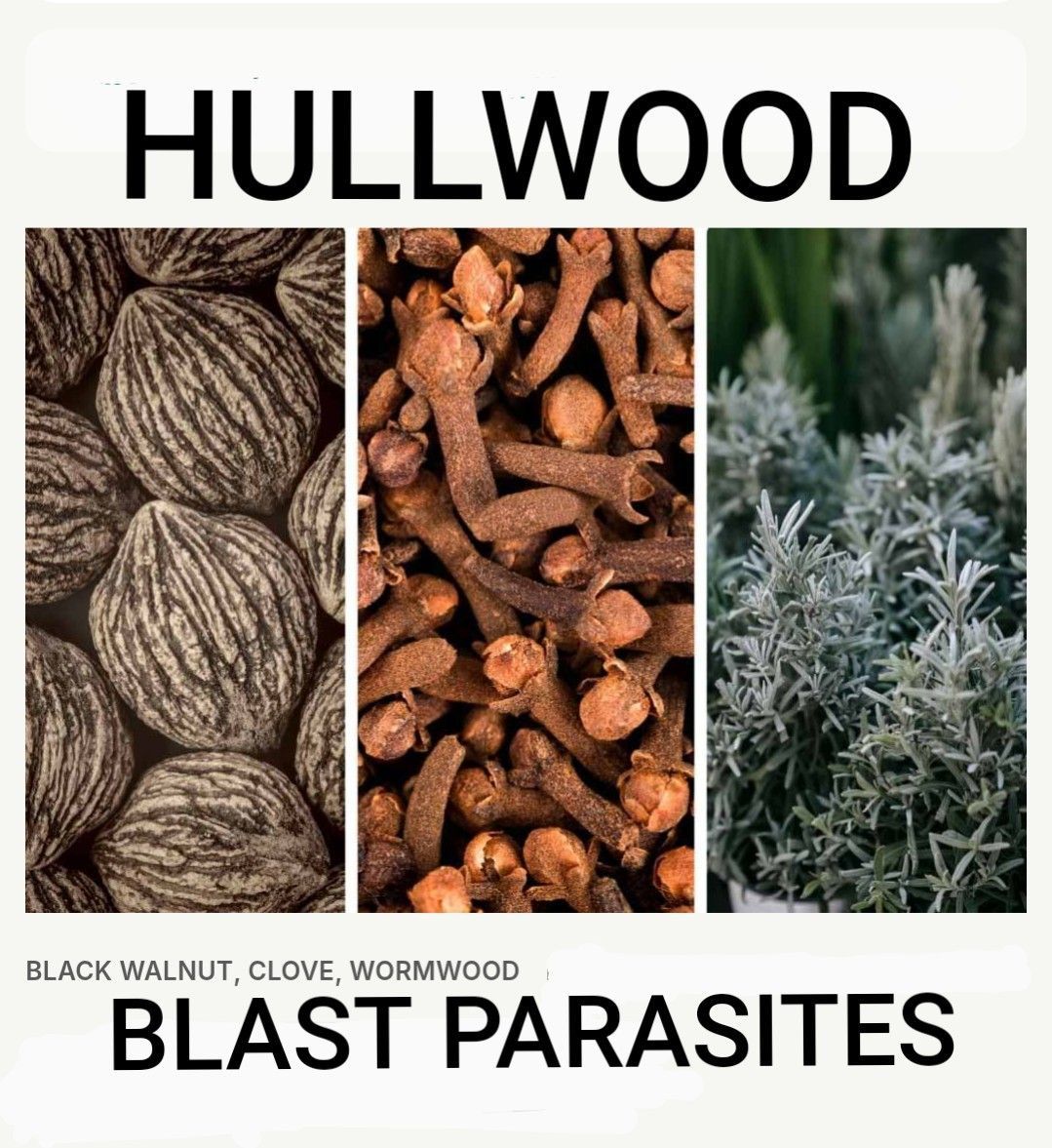 HULLWOOD HERBAL WORMING ORG PARASITE BLACK WALNUT HULL WORMWOOD CLOVE iBliss