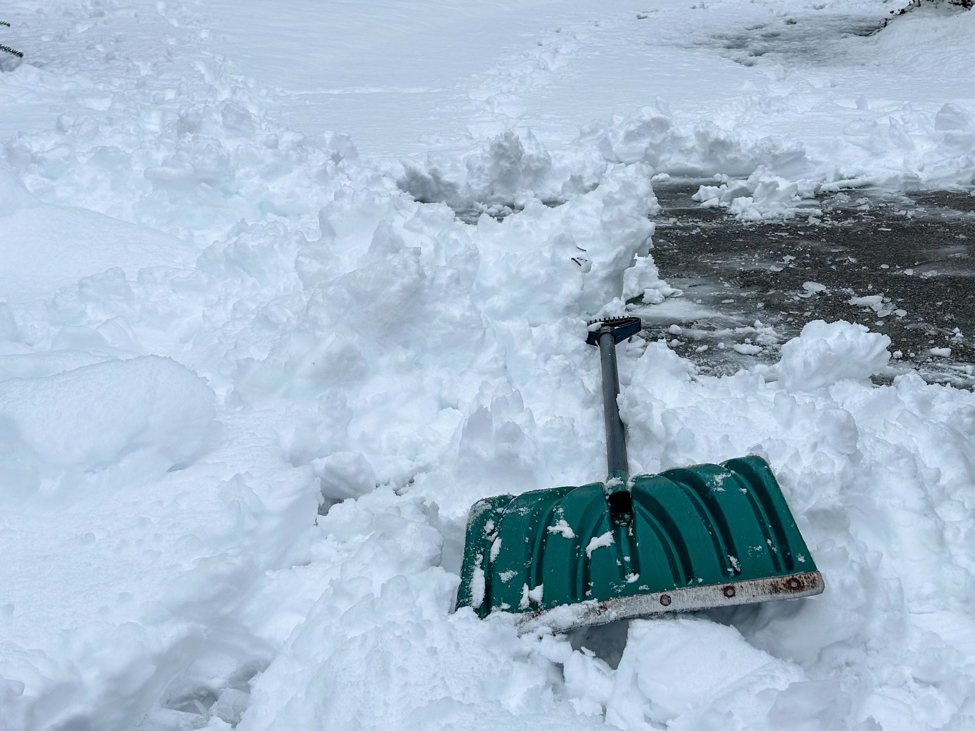 A green snow shovel is sitting in the middle of a pile of snow.