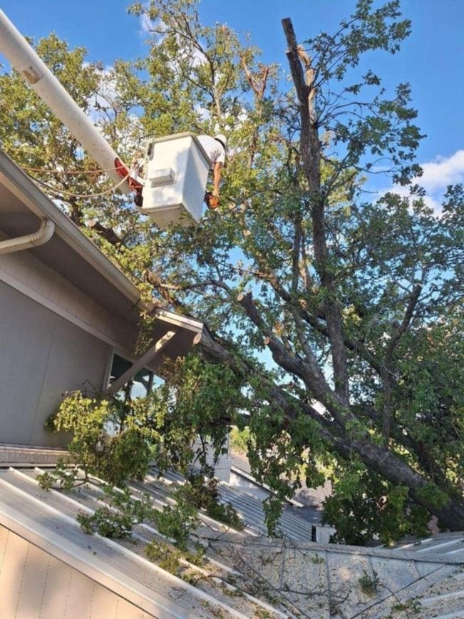 A tree is being removed from the roof of a house.