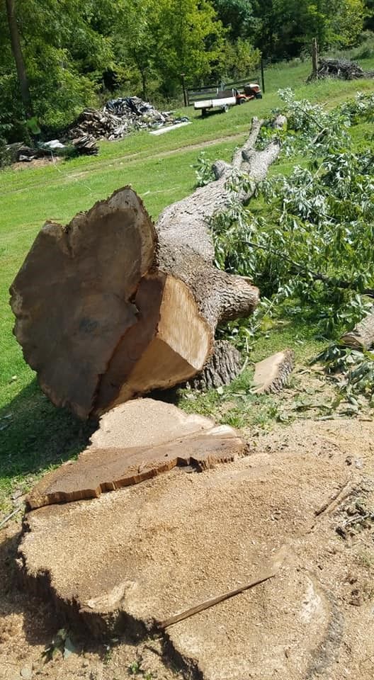 A large tree stump is laying on the ground in a field.