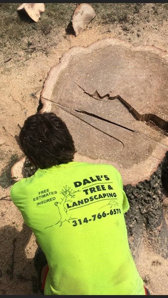 A man is kneeling down in front of a tree stump.