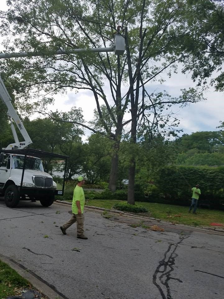 A man is walking down the street in front of a tree cutting truck.
