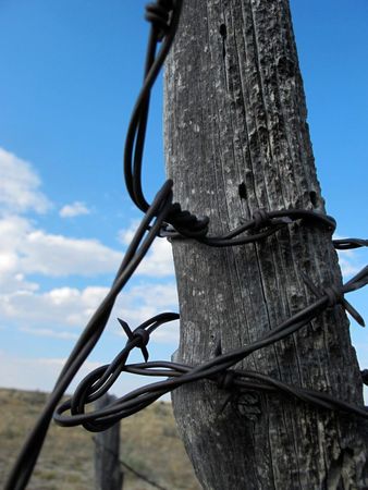 Fence Post with Barbed Wire