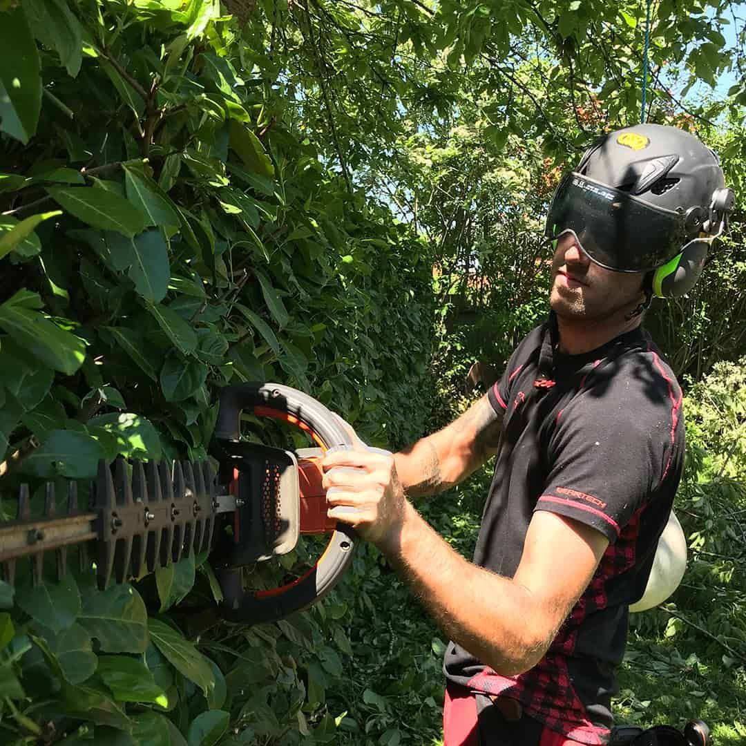 Hedge Trimming | Hedge Cutters Northamptonshire