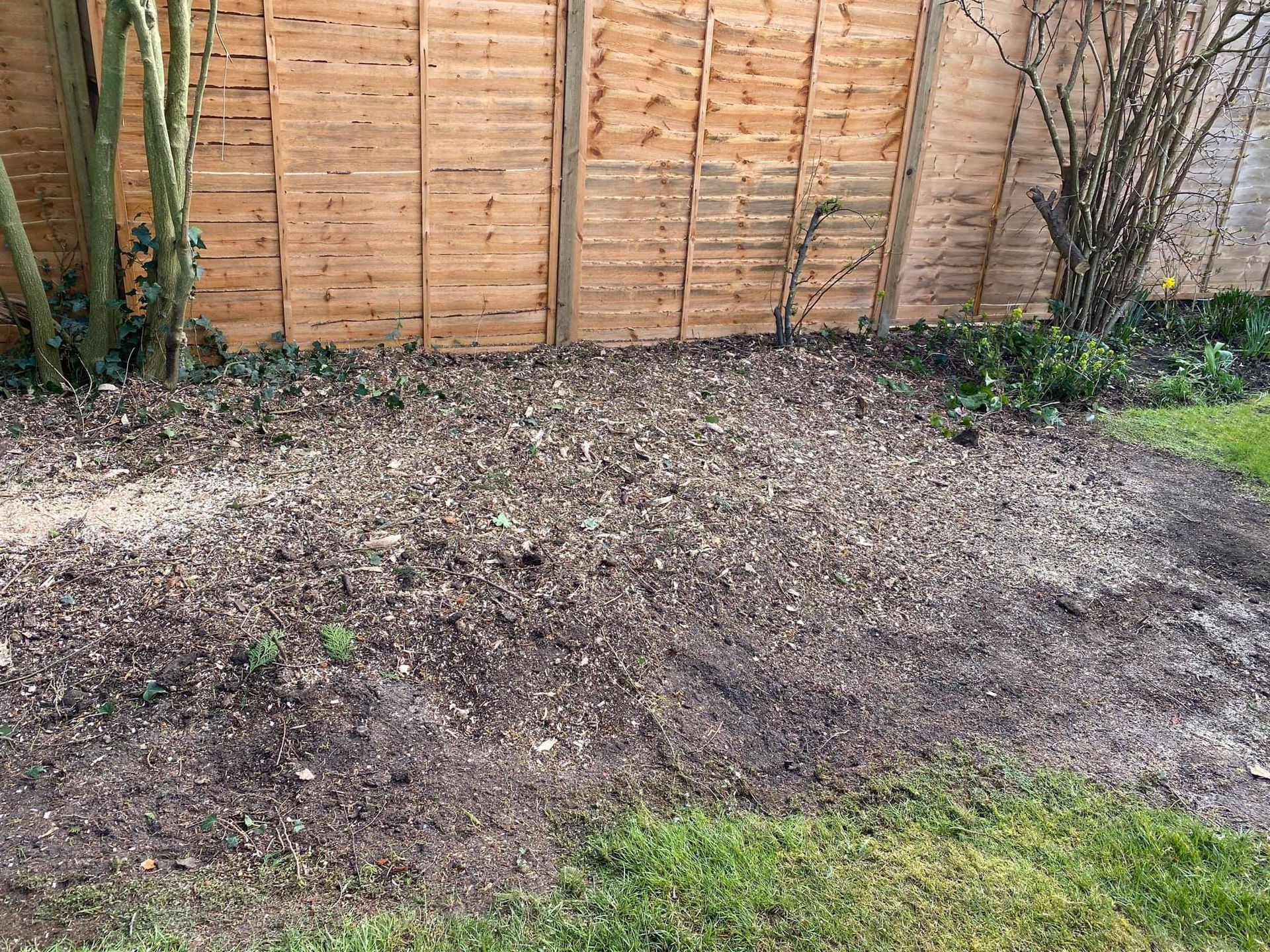 Local Tree Stump Removal Service | Tree Surgeon Northampton