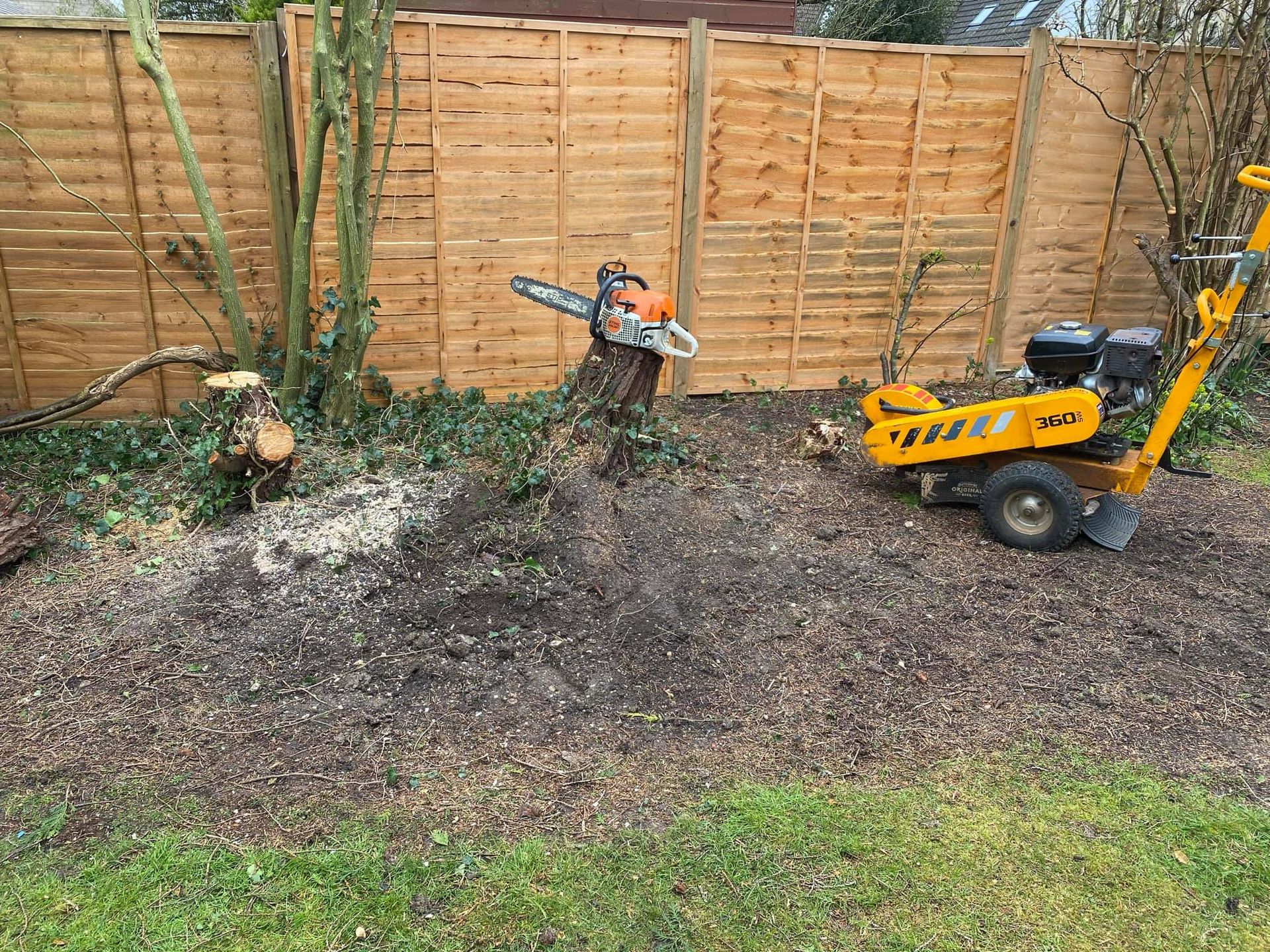 Tree Stump Removal Northampton | Tree Surgeon Northampton