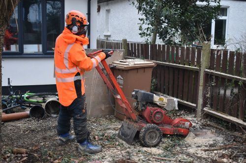Stump Grinding Northampton