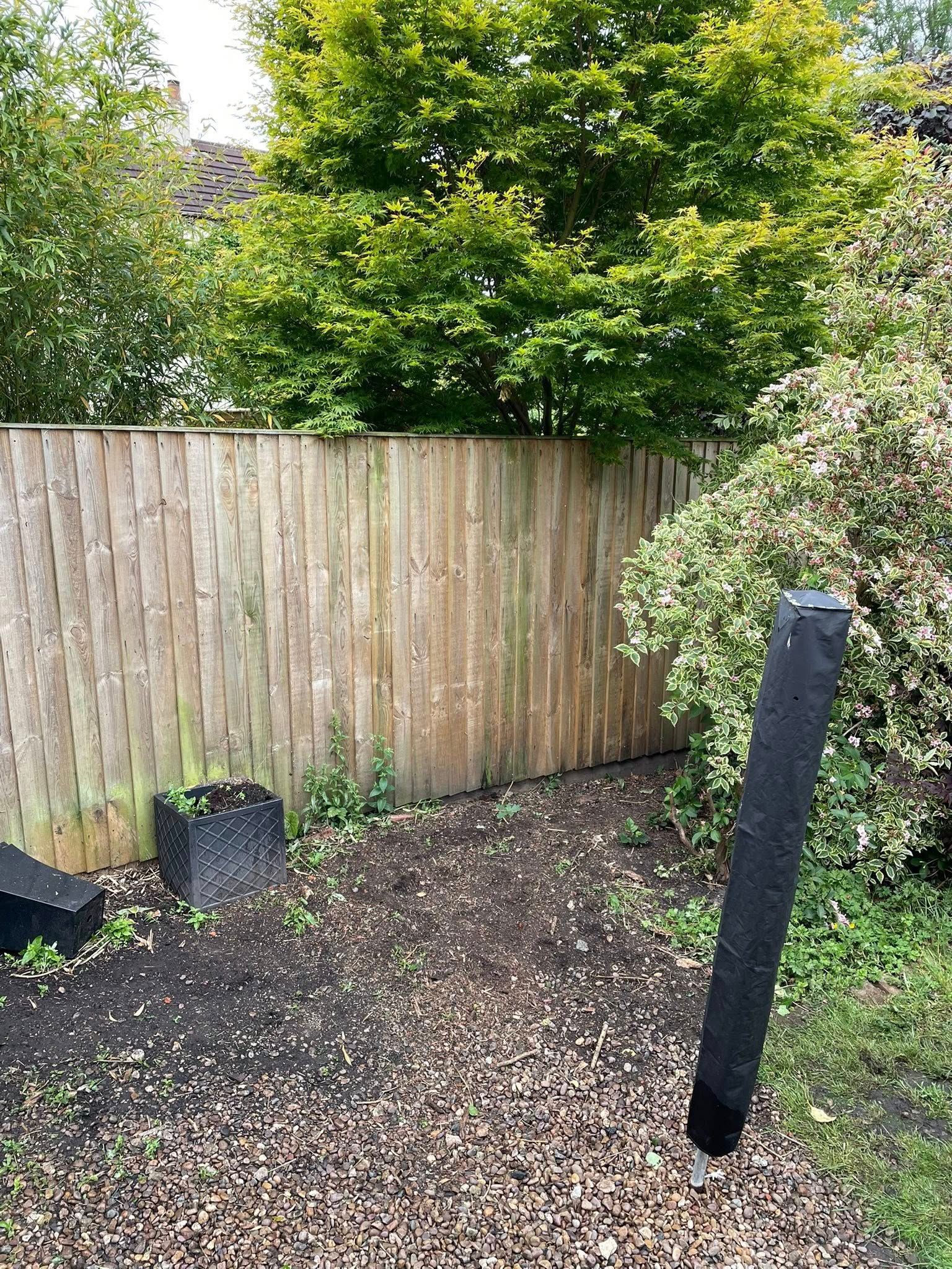 Hedge Removal Near Me | Tree Surgeon Northampton