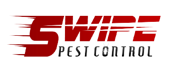 Swipe Pest Control-Logo