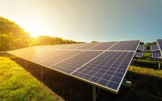 Solar panels in a field, angled toward the sun, bright sky and trees in the background.