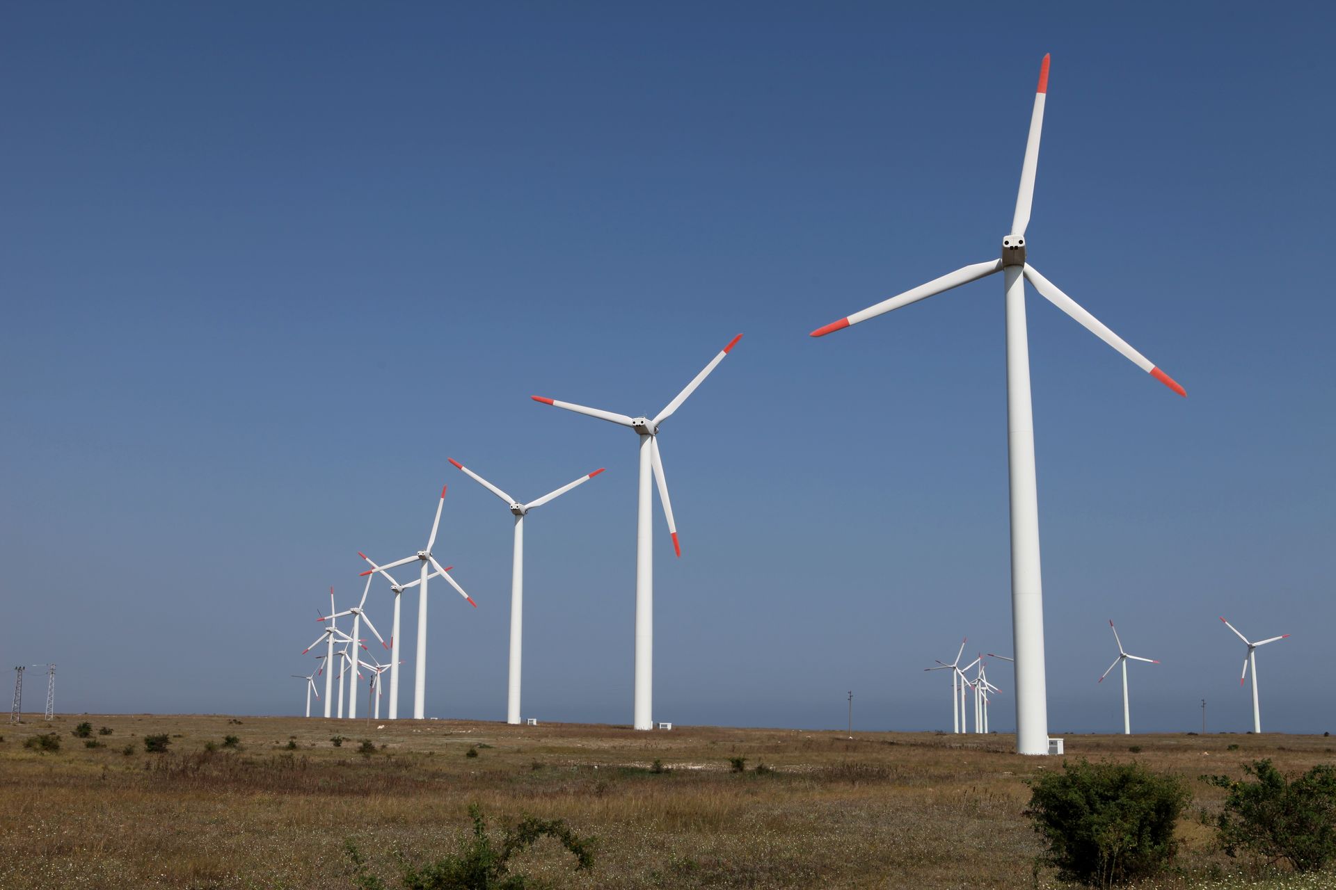 Wind turbines on a field under a clear blue sky.