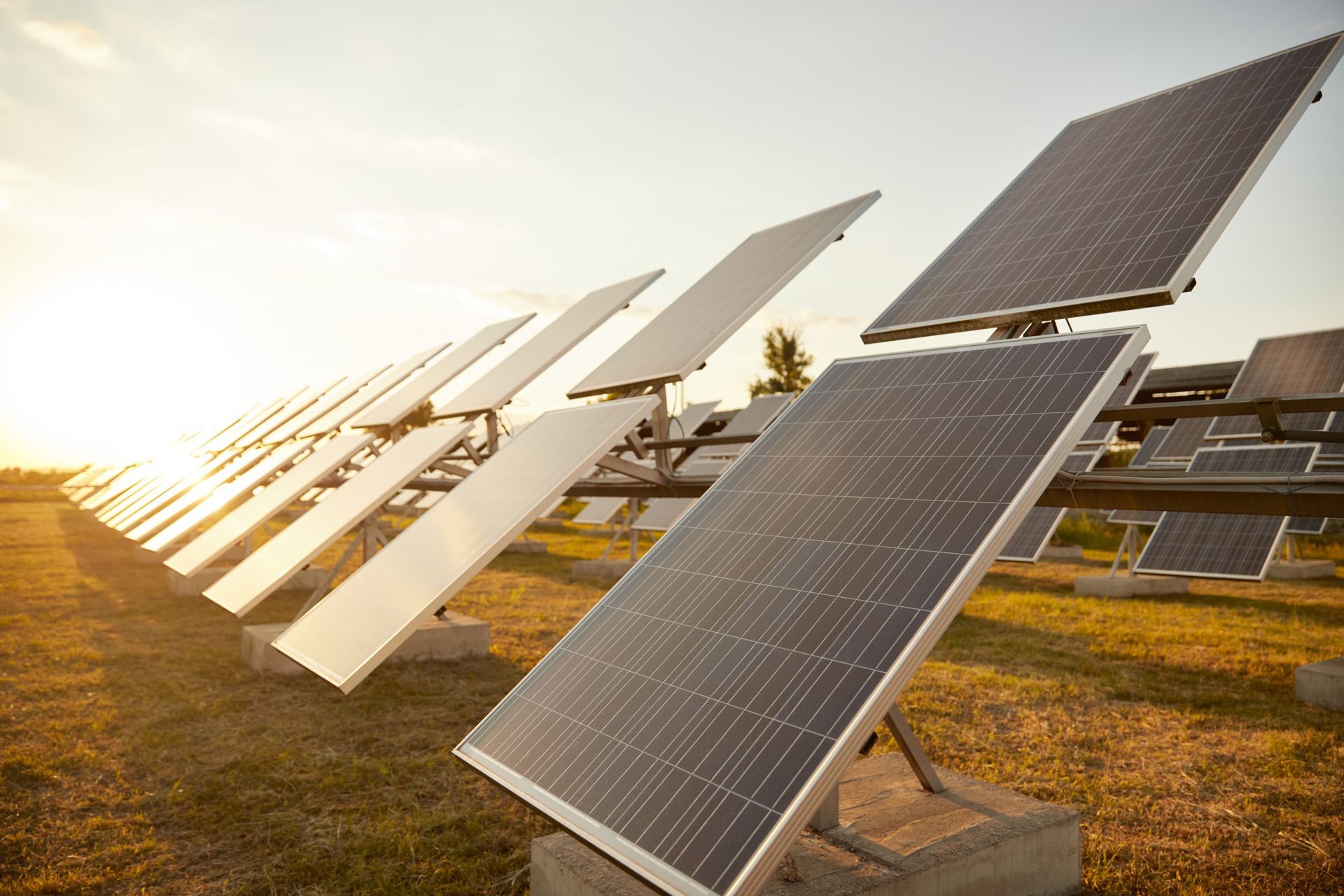 Solar panels angled toward the sun in a field. Golden sunlight.