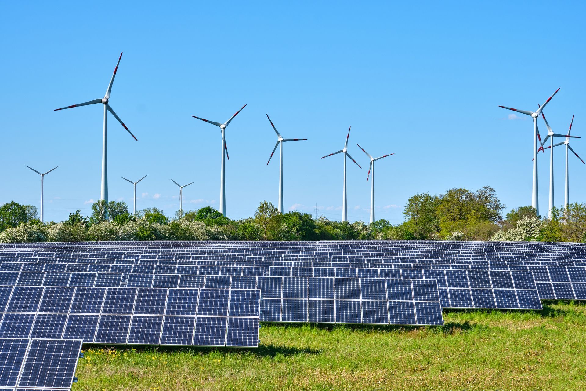 Solar panels and wind turbines in a grassy field under a blue sky, representing renewable energy sources.