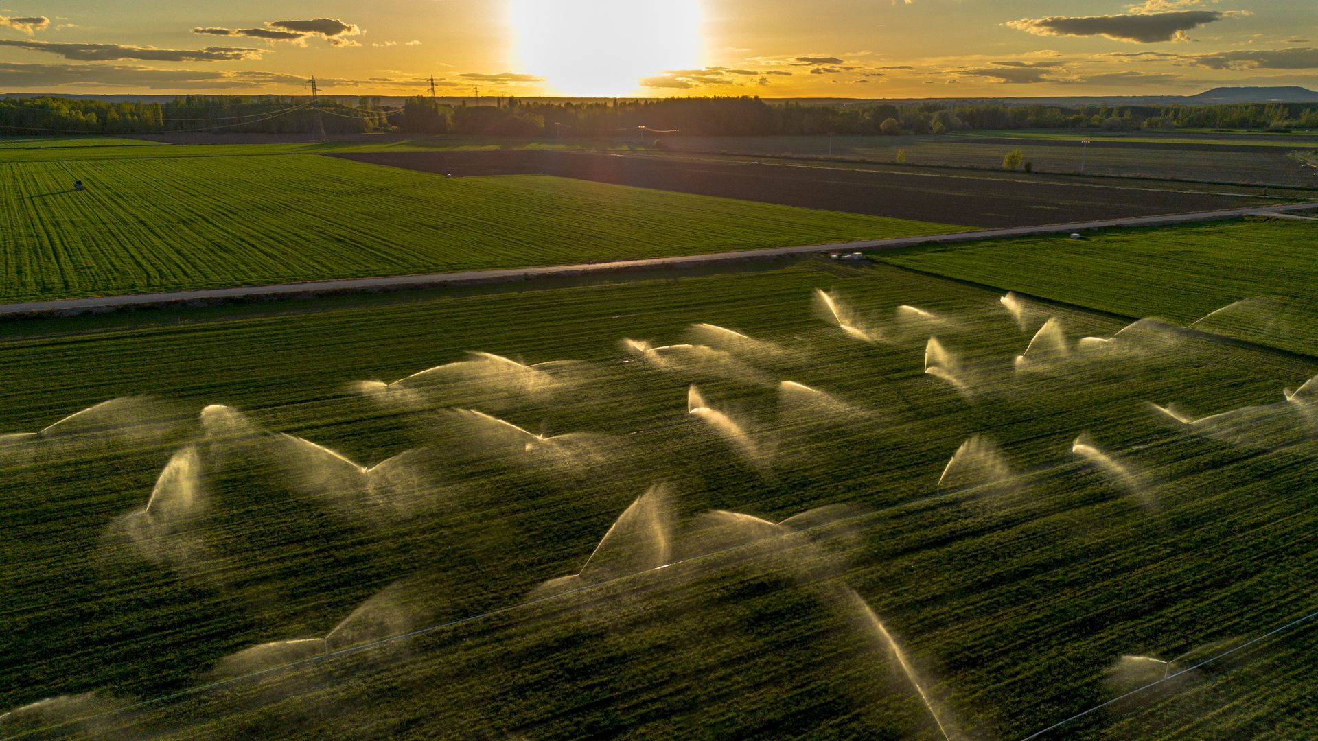 Solar panels and wind turbines in a field under a bright blue sky.