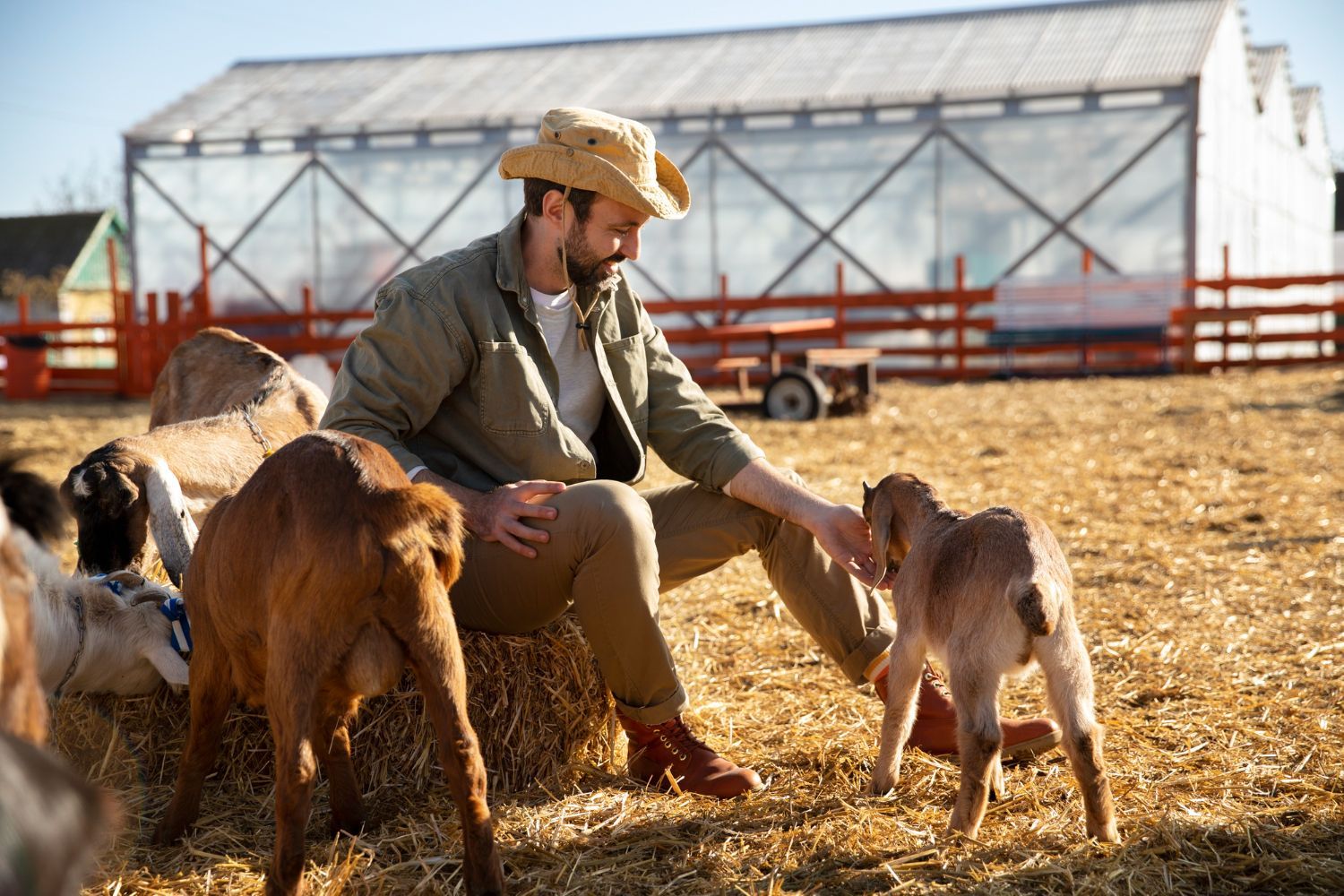 A man is sitting on a bale of hay petting a baby goat.
