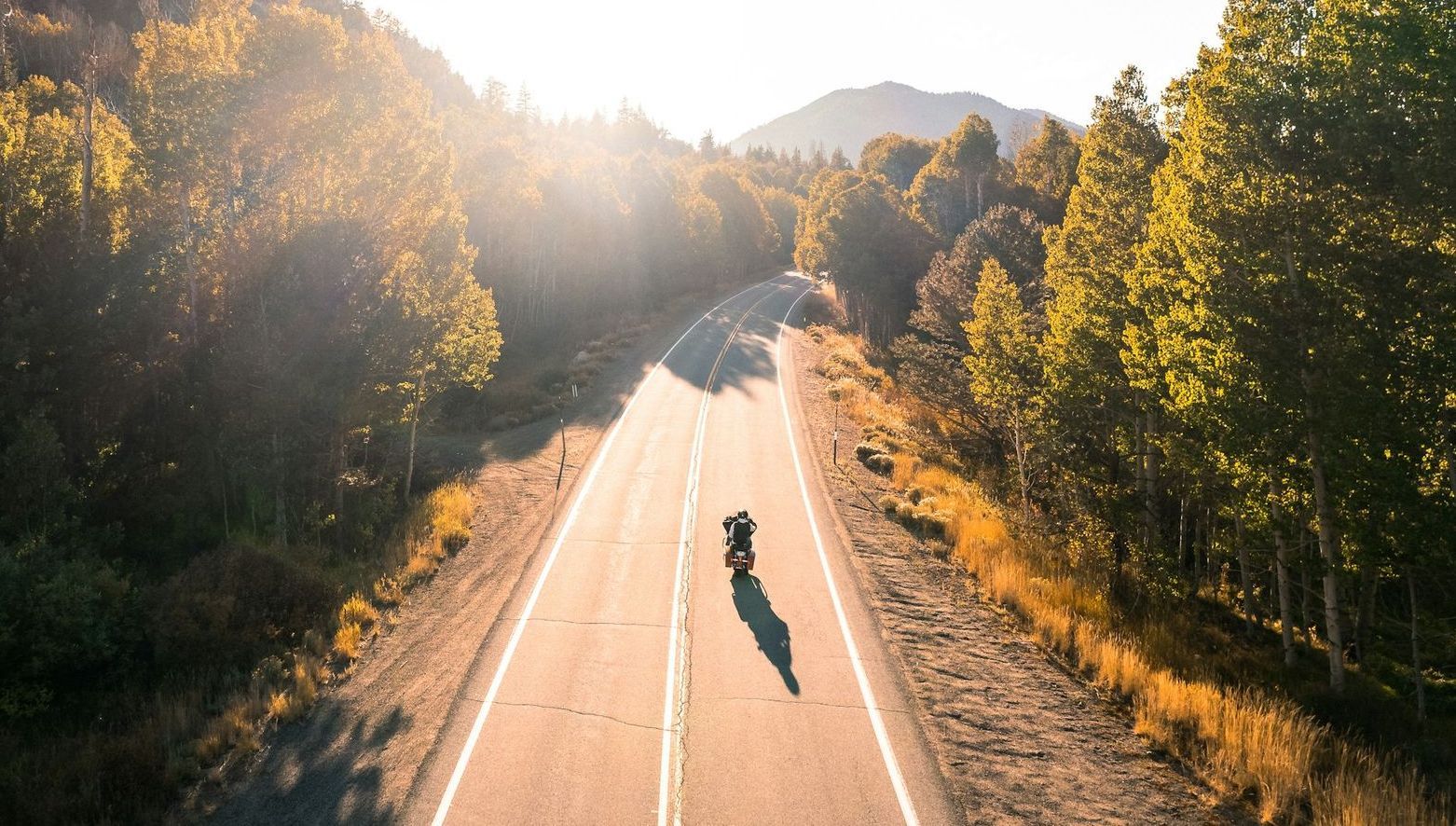 An aerial view of a person riding a motorcycle down a road surrounded by trees.