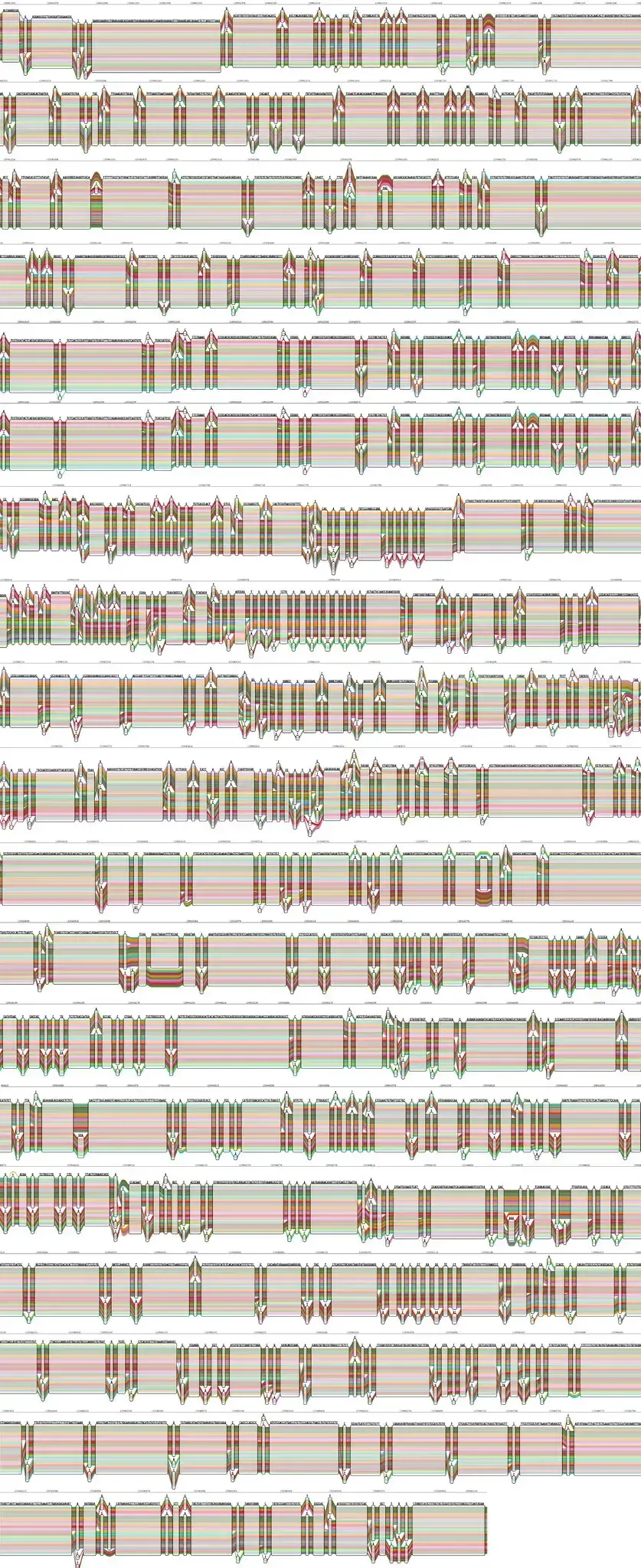 The human pangenome allows scientists to explore a broader range of global genetic diversity.