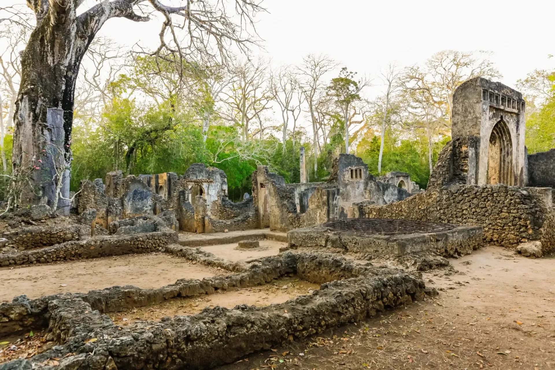 Medieval ruins in Kenya where researchers are looking for the remains of ancient Swahili people.