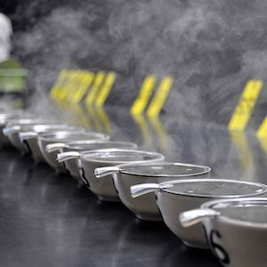 Tea cups in a line