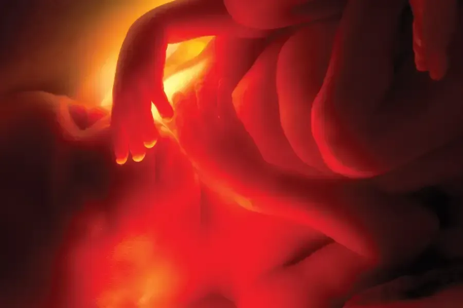 Fetus in utero