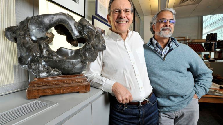 Tim Springer, left, and Nagesh Mahanthappa with the scholar rock that inspired their company's name.