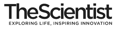 The Scientist Magazine logo
