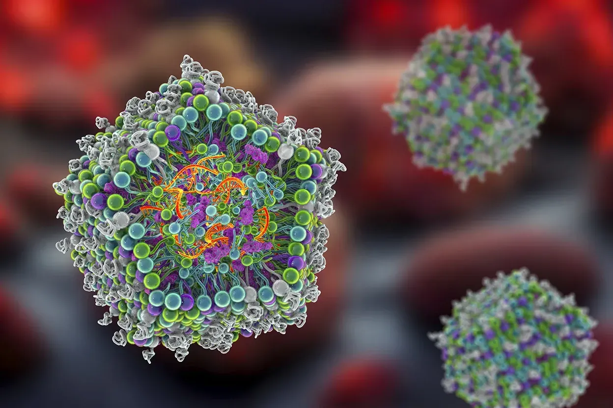 mRNA inside a lipid nanoparticle