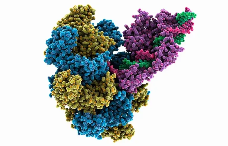 Model of transposase enzyme