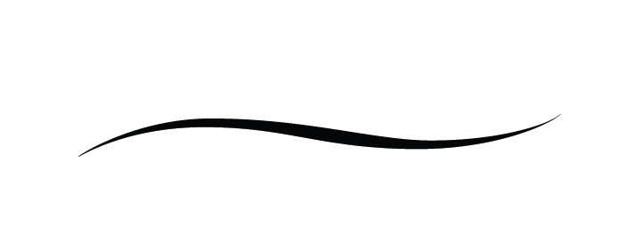 light version of property logo