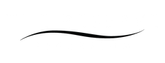 light version of property logo