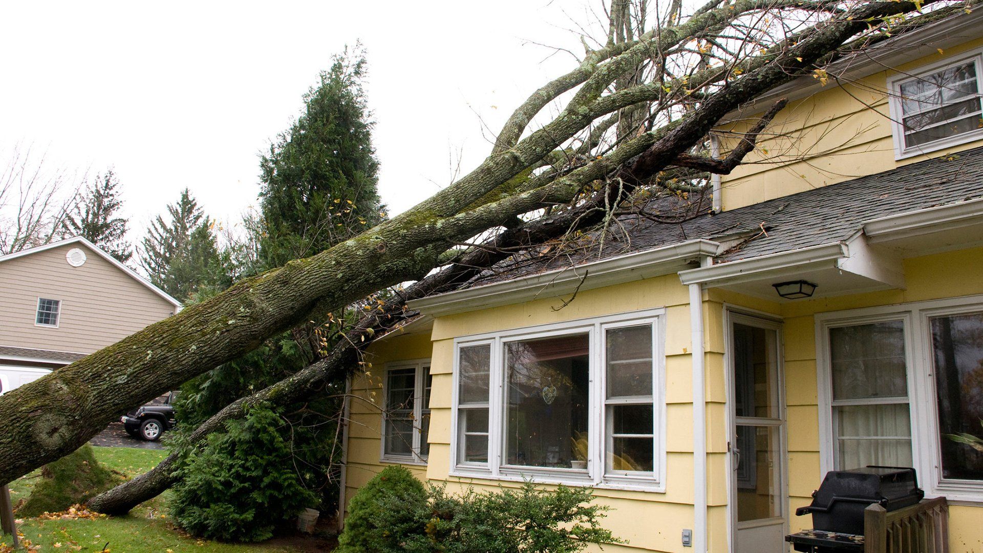 Tree Fell On House — Orange Co. FL — Drew With Stellar