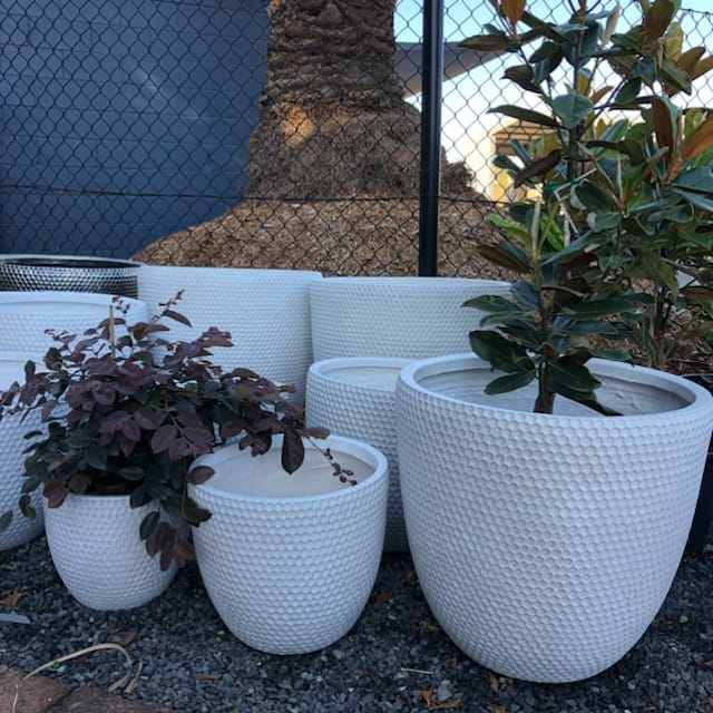 Plants, Pots & Potting Mix Port Macquarie, NSW Oxley Landscape Supplies