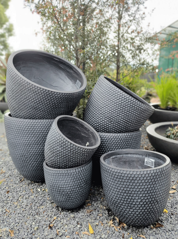 Plants, Pots & Potting Mix Port Macquarie, NSW Oxley Landscape Supplies