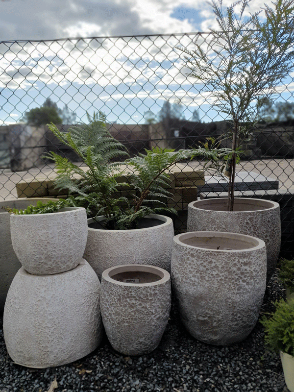 Plants, Pots & Potting Mix Port Macquarie, NSW Oxley Landscape Supplies