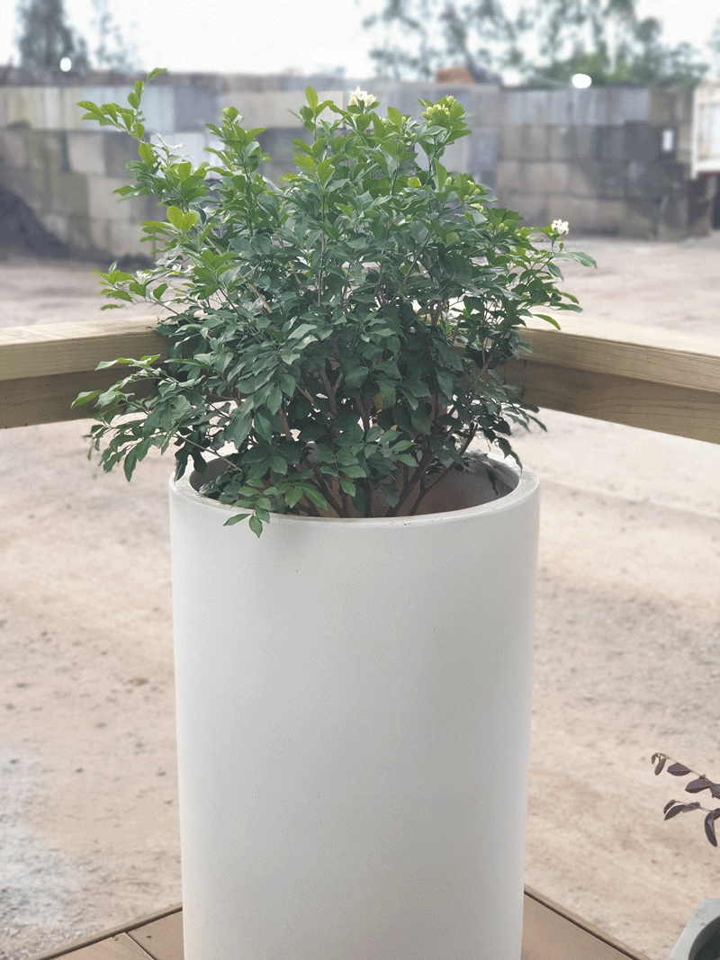 Plants, Pots & Potting Mix Port Macquarie, NSW Oxley Landscape Supplies