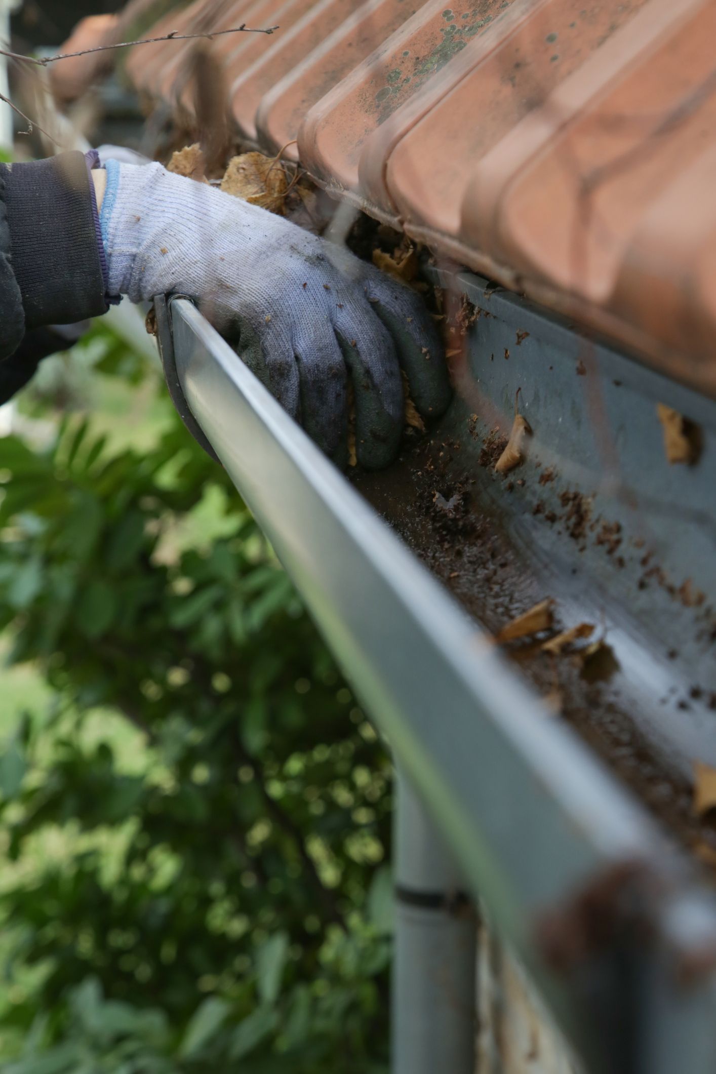 Cleaning the gutter from autumn leaves before winter season. Roof gutter cleaning process.