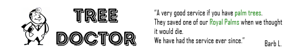 Tree Doctor Google Review from Barb L.