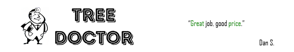 Tree Doctor Google Review from Dan S.