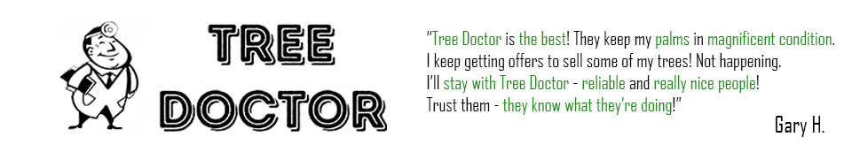 Tree Doctor Google Review from Gary H.