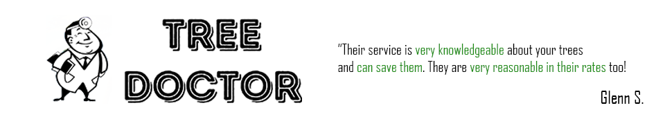 Tree Doctor Google Review from Glenn S.