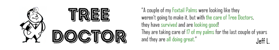 Tree Doctor Google Review from Jeff L.