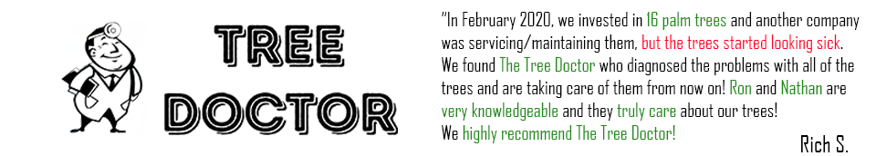 Tree Doctor Google Review from Rich S.