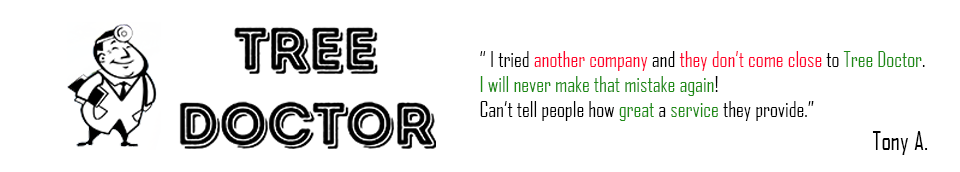 Tree Doctor Google Review from Tony A.