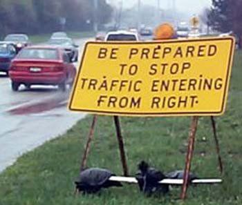 prepare to stop sign