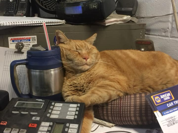 Jax at Jack's Tune Up & Alignment in Belton, MO