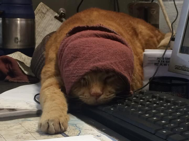 Jax at Jack's Tune Up & Alignment in Belton, MO